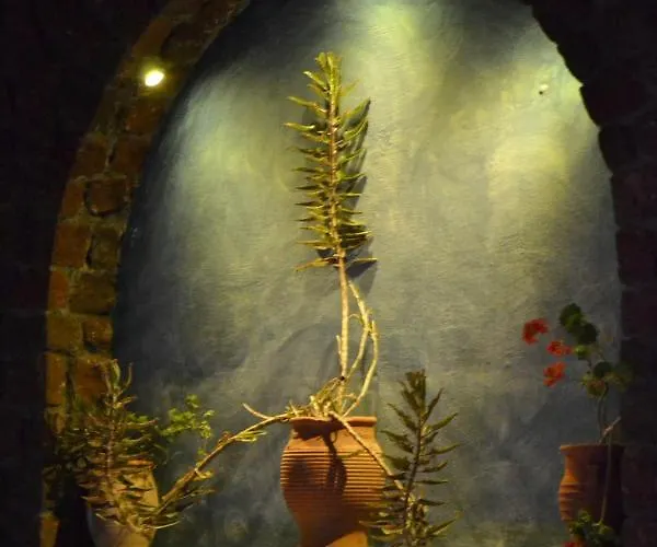 Thousand Stars Suites&rooms 4* Камари